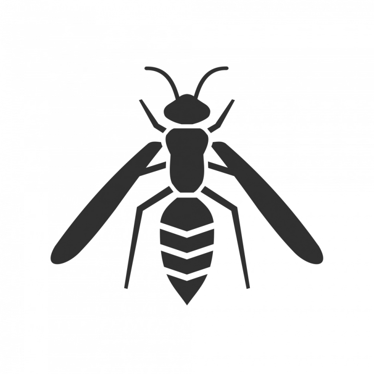 Pest Control Services in Lakeport, CA JD Zastrow's Pest Control